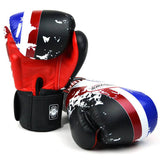 Twins Thailand Boxing Gloves FBGVL3-44TH - Gymzey.com